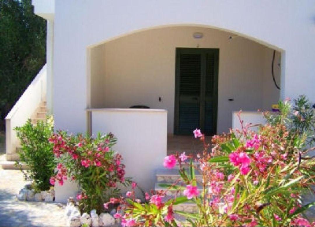 Villa Rinaldi Apartment Vieste Kültér fotó